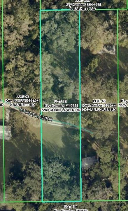 For Sale: $25,000 (1.01 acres)