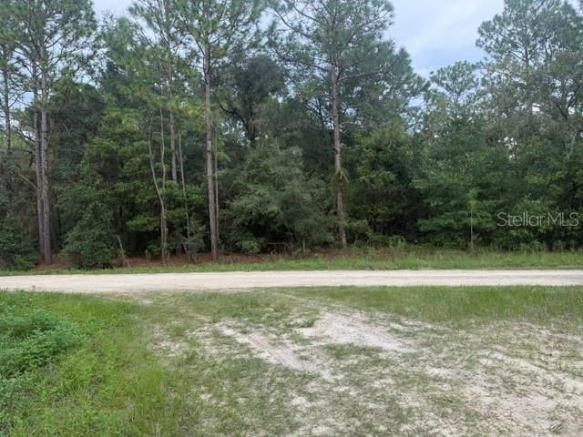 На продажу: $82,500 (1.33 acres)