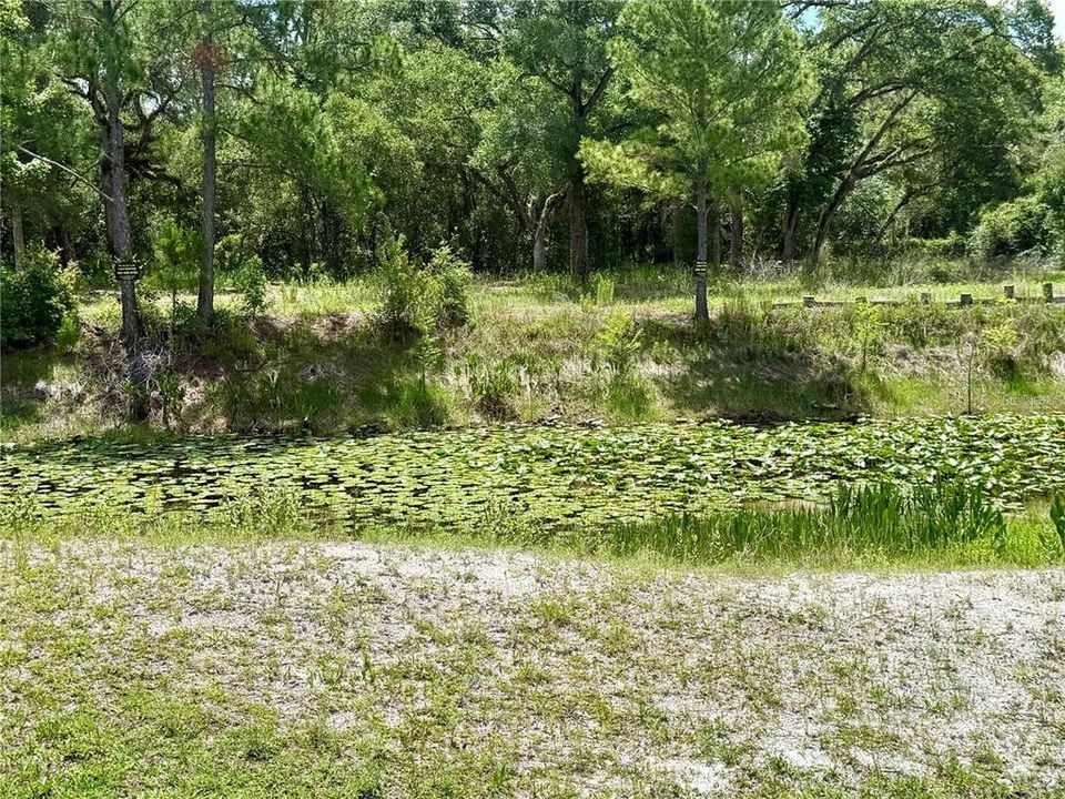 待售: $16,900 (0.29 acres)