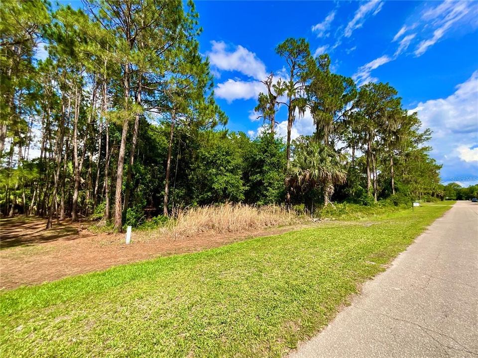 待售: $65,000 (1.00 acres)