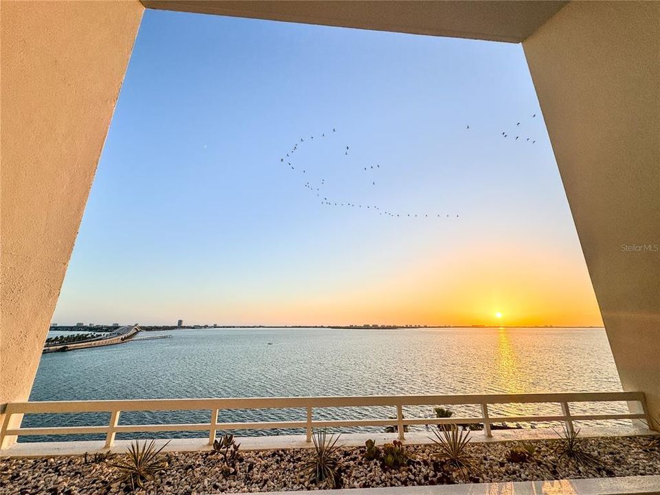 For Sale: $1,399,000 (2 beds, 2 baths, 1642 Square Feet)
