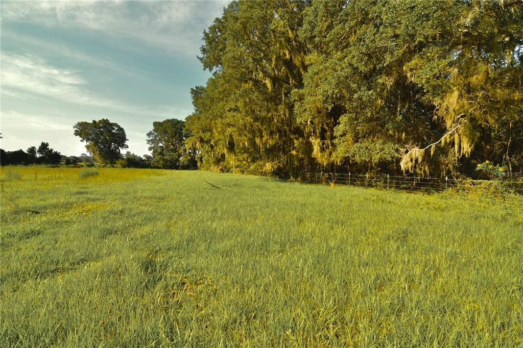 For Sale: $1,150,000 (56.53 acres)