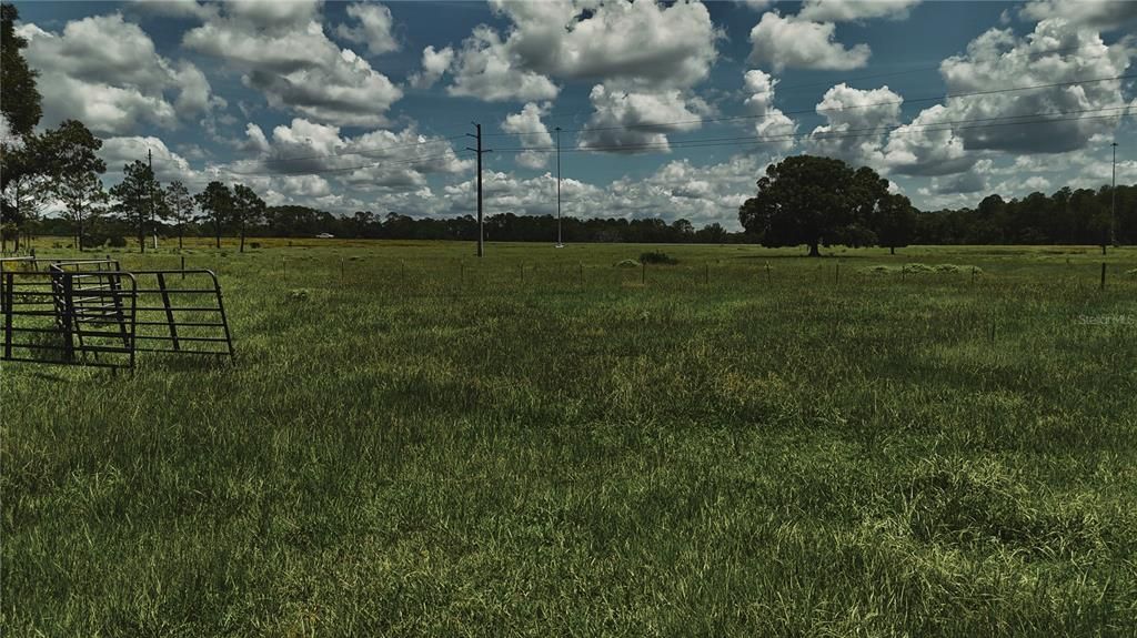 For Sale: $1,150,000 (56.53 acres)