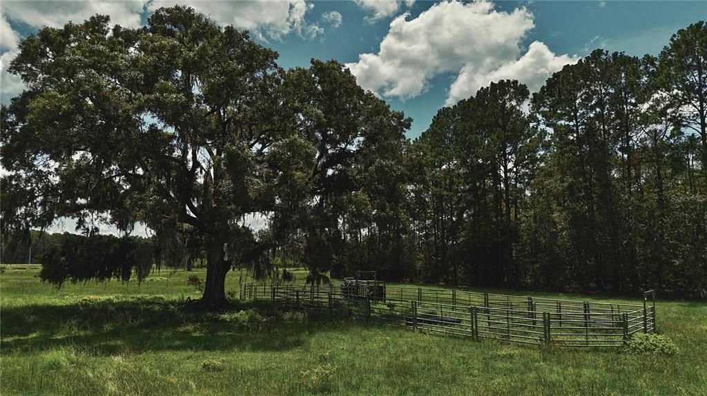 For Sale: $1,150,000 (56.53 acres)