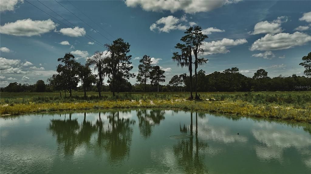 For Sale: $1,150,000 (56.53 acres)