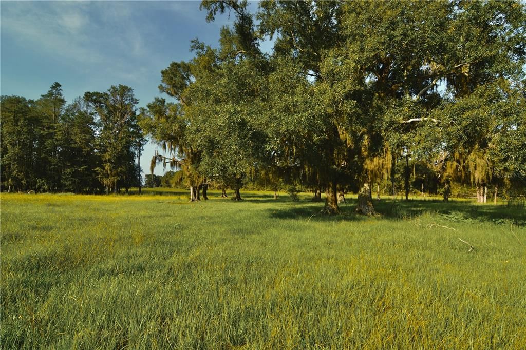 For Sale: $1,150,000 (56.53 acres)