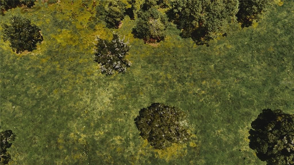 For Sale: $1,150,000 (56.53 acres)