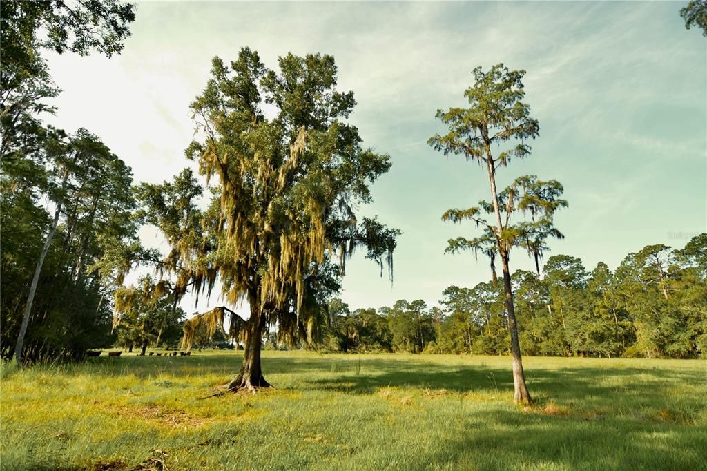 For Sale: $1,150,000 (56.53 acres)