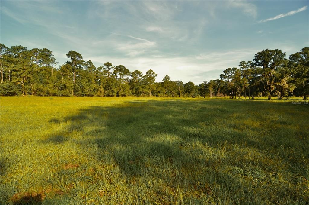 For Sale: $1,150,000 (56.53 acres)