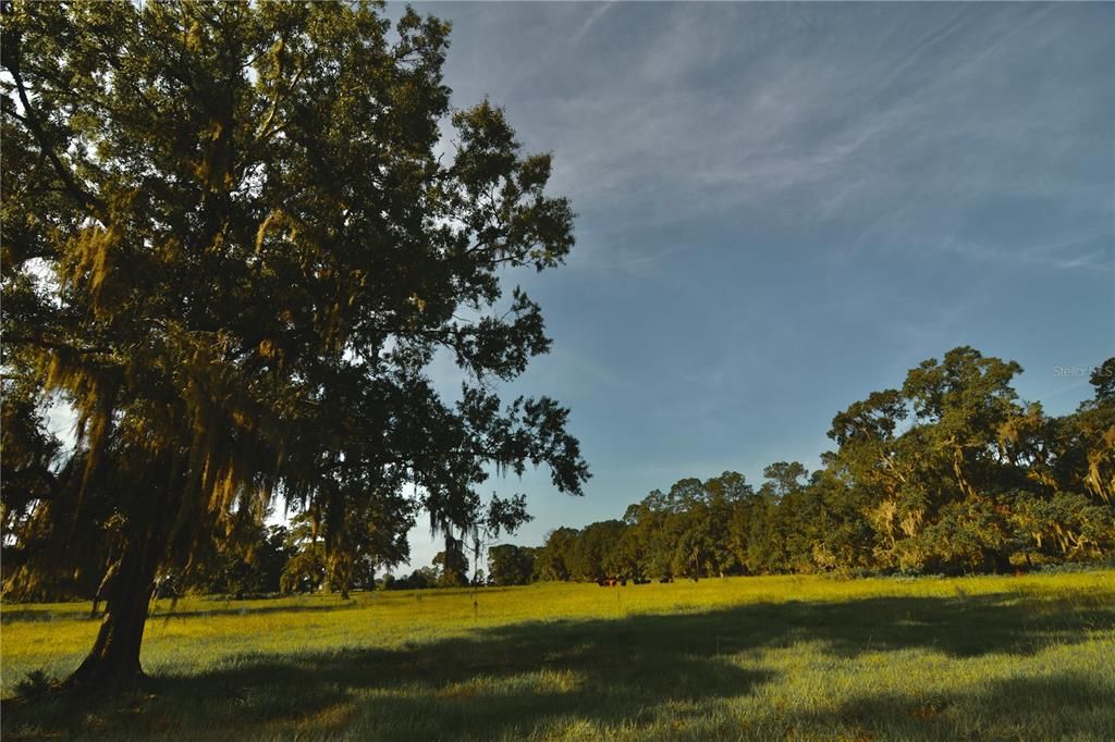 For Sale: $1,150,000 (56.53 acres)
