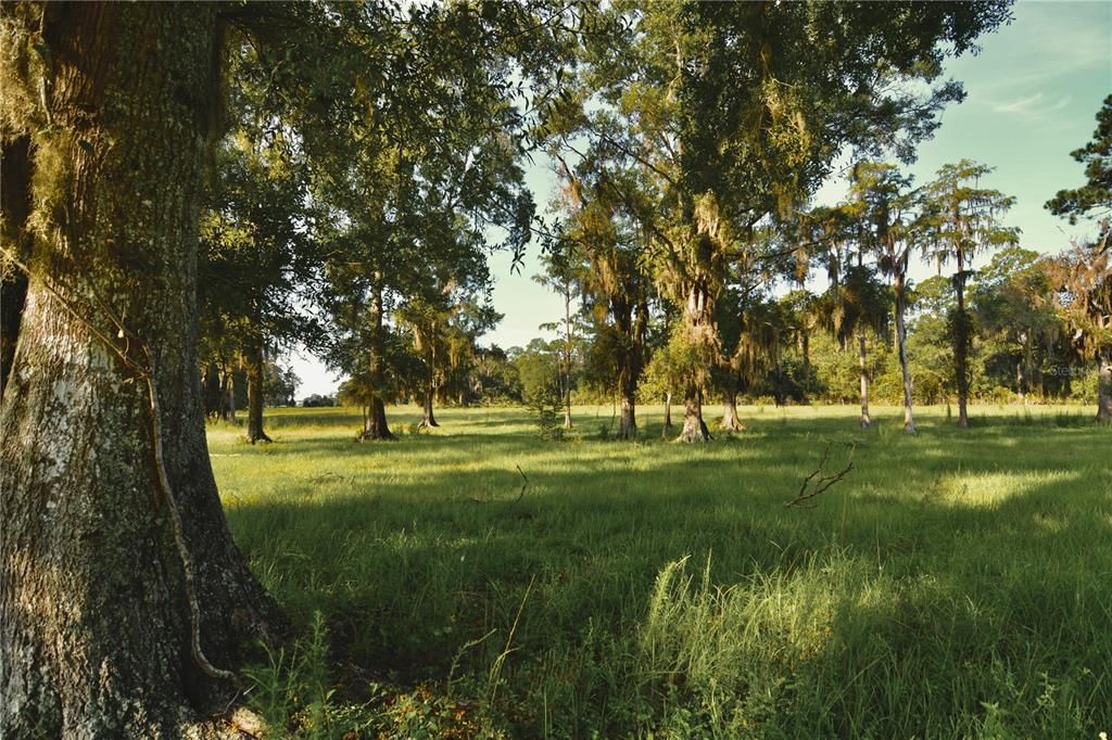 For Sale: $1,150,000 (56.53 acres)