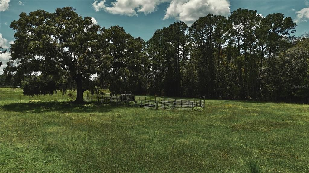 For Sale: $1,150,000 (56.53 acres)