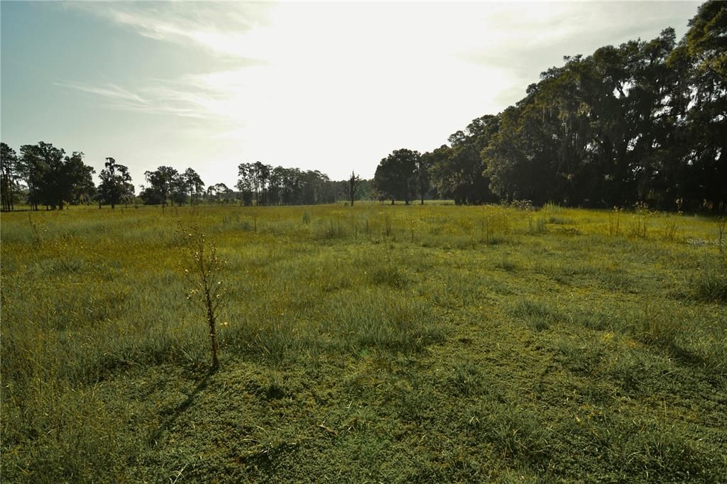 For Sale: $1,150,000 (56.53 acres)