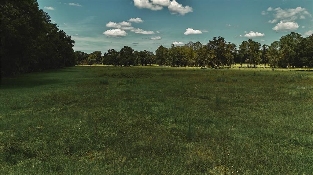 For Sale: $1,150,000 (56.53 acres)