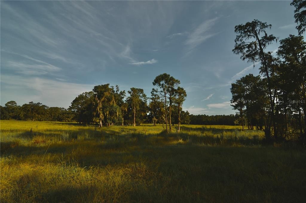 For Sale: $1,150,000 (56.53 acres)