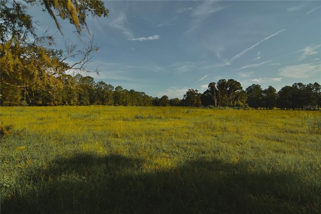 For Sale: $1,150,000 (56.53 acres)