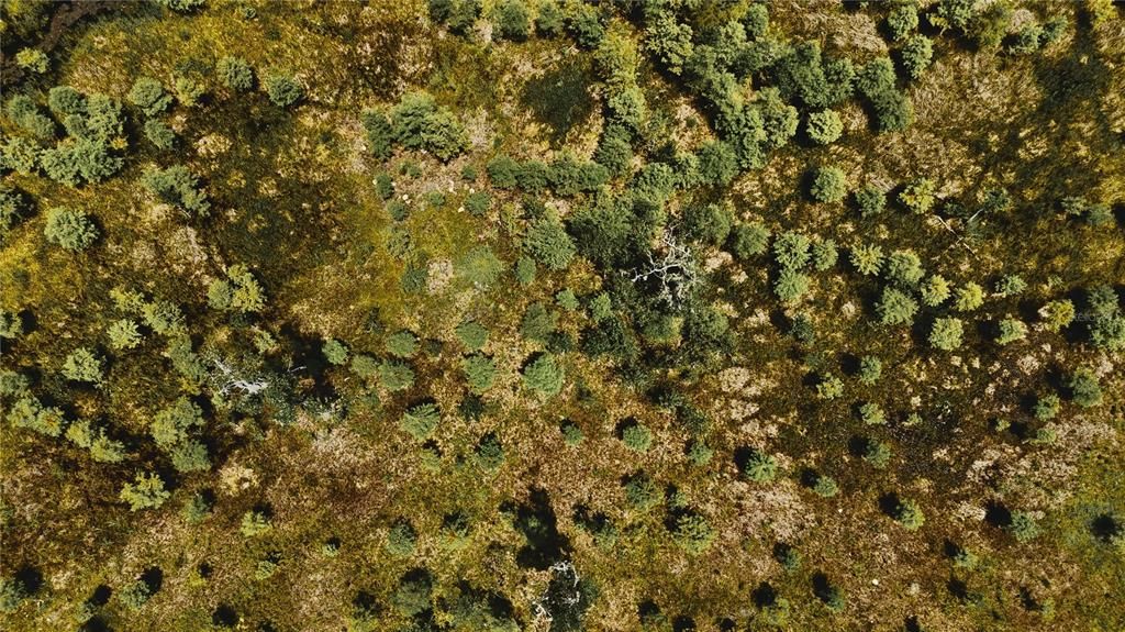 For Sale: $1,150,000 (56.53 acres)