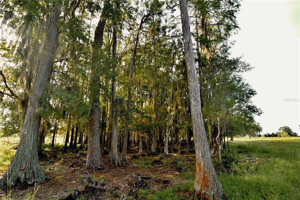 For Sale: $1,150,000 (56.53 acres)