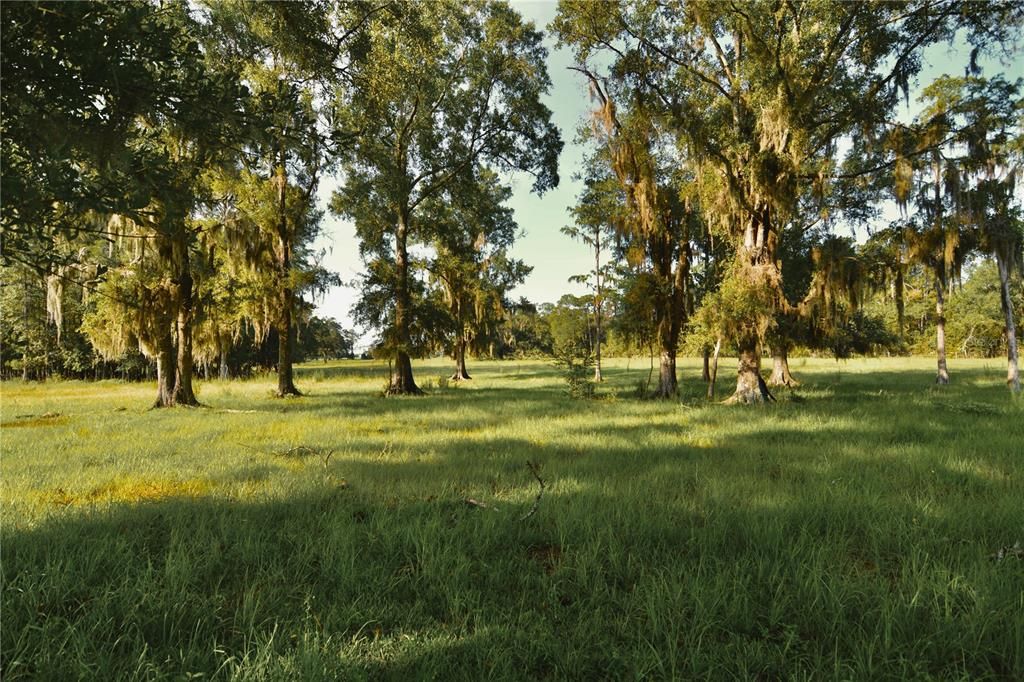 For Sale: $1,150,000 (56.53 acres)