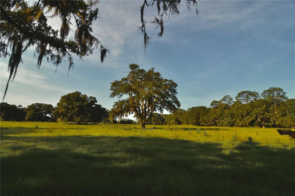 For Sale: $1,150,000 (56.53 acres)