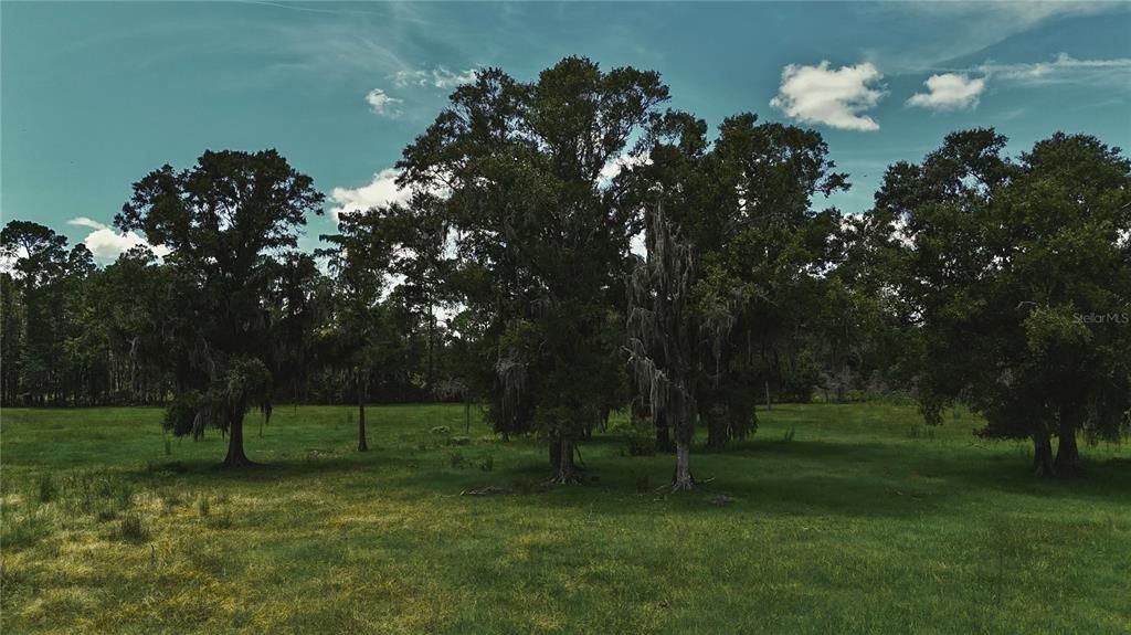 For Sale: $1,150,000 (56.53 acres)