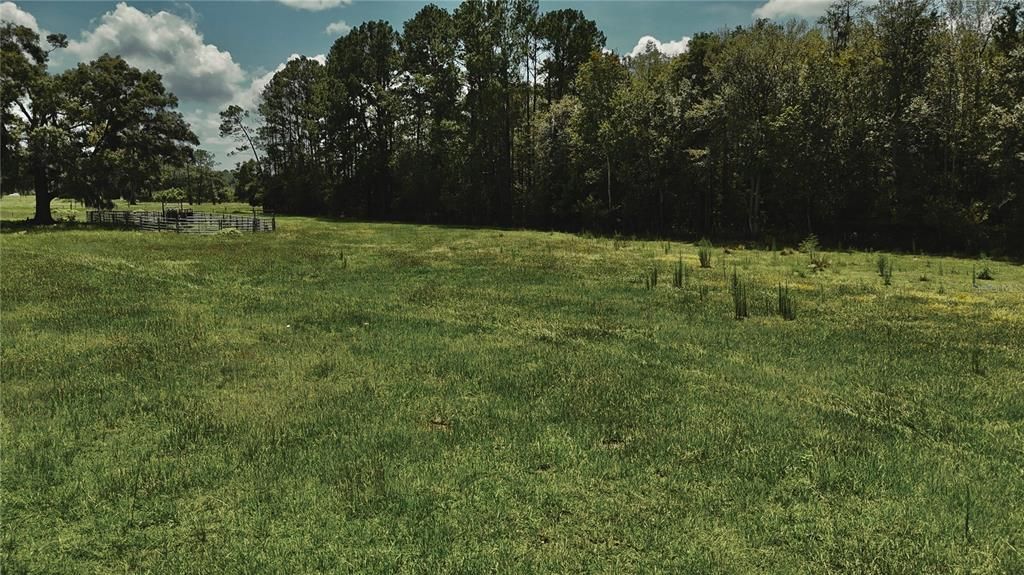 For Sale: $1,150,000 (56.53 acres)