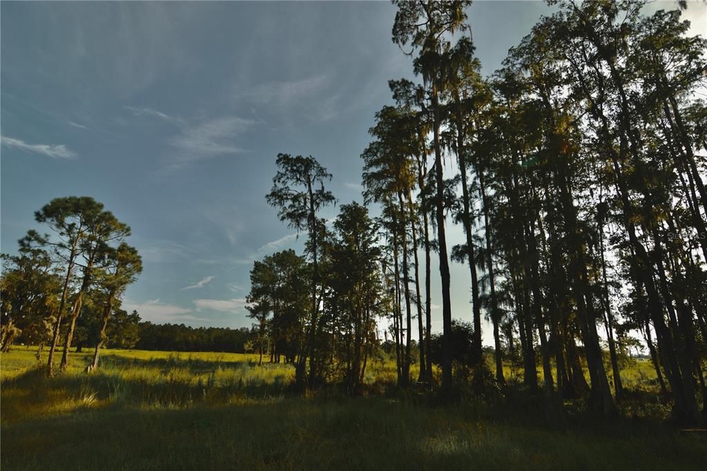 For Sale: $1,150,000 (56.53 acres)