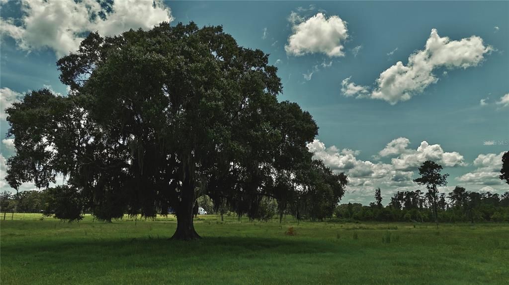 For Sale: $1,150,000 (56.53 acres)