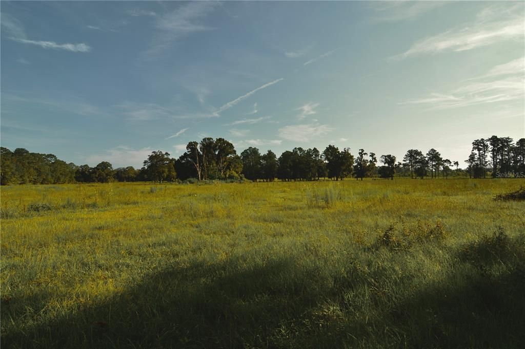 For Sale: $1,150,000 (56.53 acres)