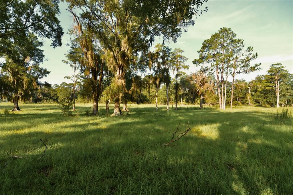 For Sale: $1,150,000 (56.53 acres)