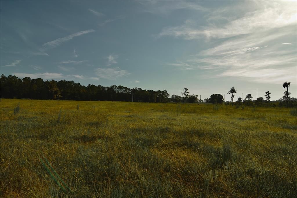 For Sale: $1,150,000 (56.53 acres)
