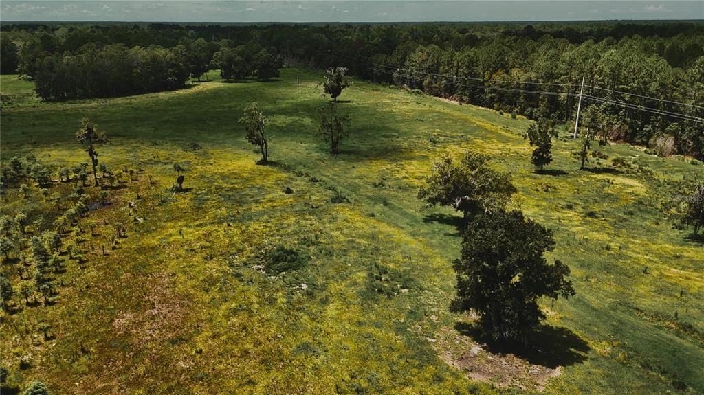 For Sale: $1,150,000 (56.53 acres)