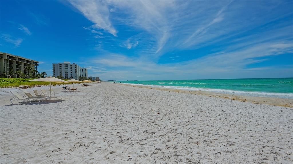 For Sale: $1,395,000 (2 beds, 2 baths, 1503 Square Feet)