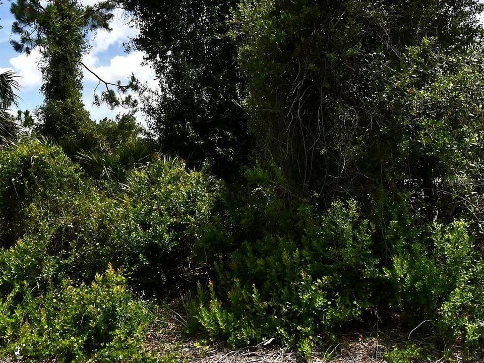 For Sale: $21,000 (0.23 acres)