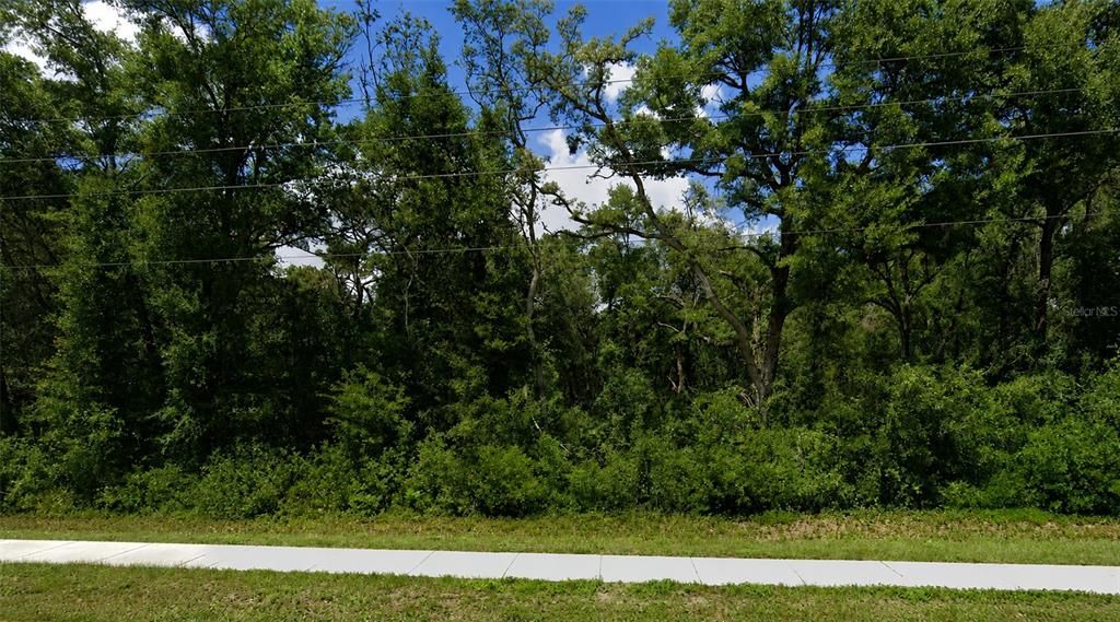 En Venta: $175,000 (2.77 acres)