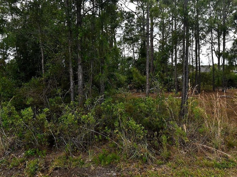 For Sale: $21,000 (0.24 acres)