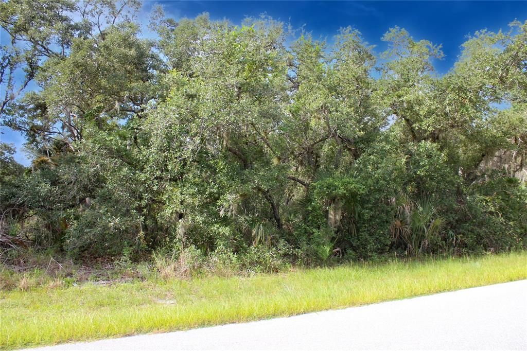 For Sale: $25,000 (0.46 acres)