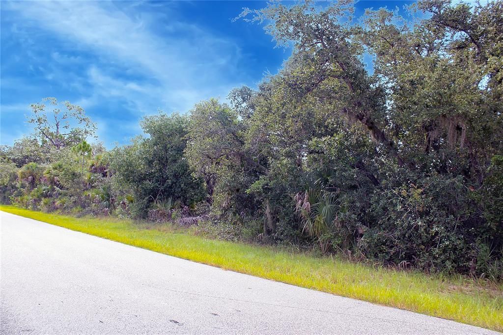 For Sale: $25,000 (0.46 acres)