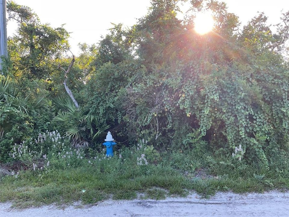For Sale: $199,999 (0.23 acres)