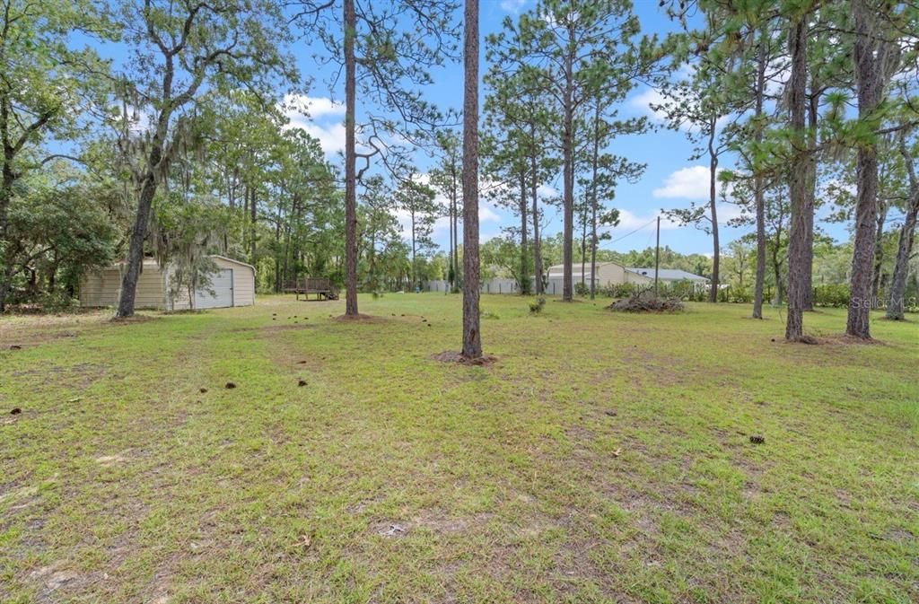 En Venta: $75,000 (1.25 acres)