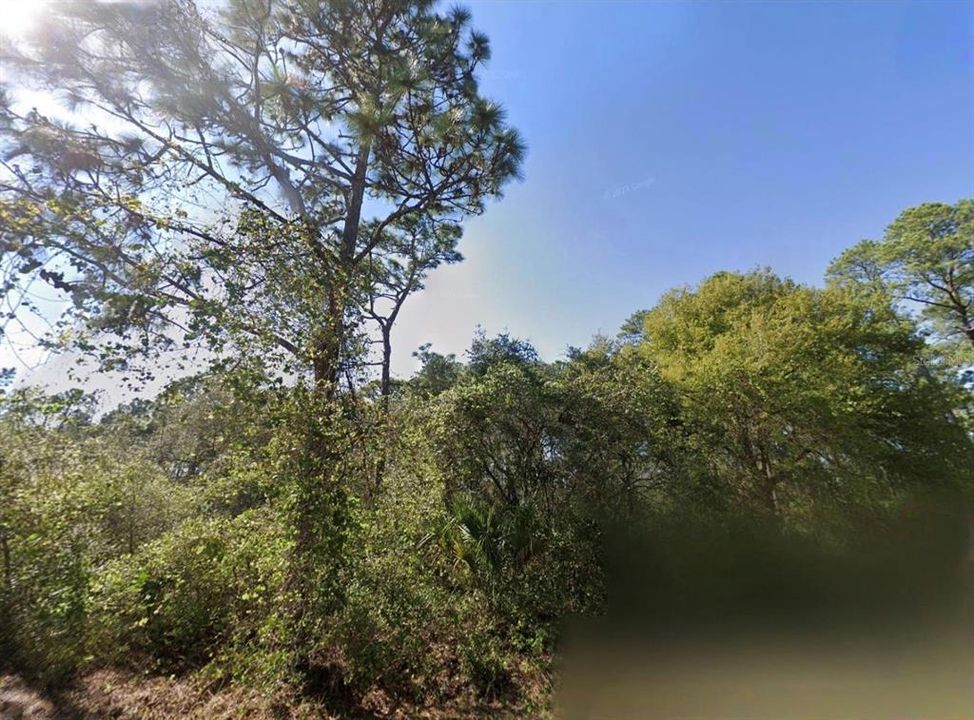 For Sale: $75,000 (1.02 acres)