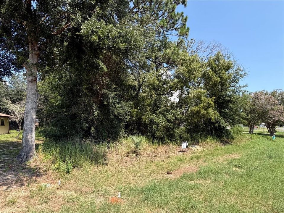 For Sale: $35,000 (0.24 acres)