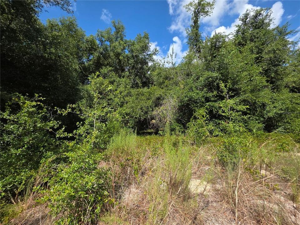 For Sale: $230,000 (5.25 acres)