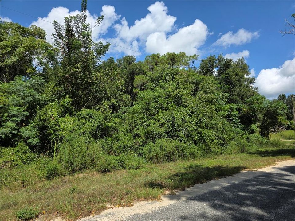 For Sale: $230,000 (5.25 acres)