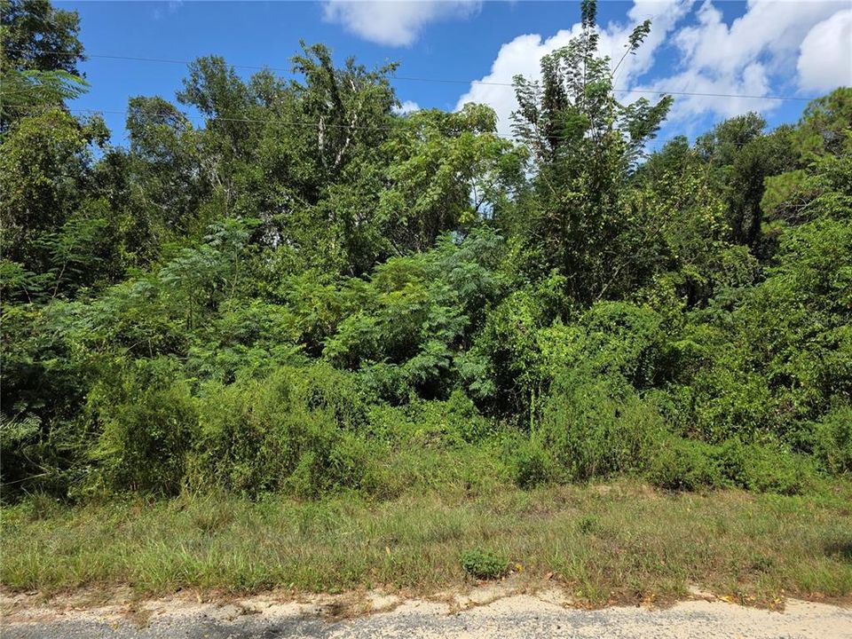 For Sale: $230,000 (5.25 acres)
