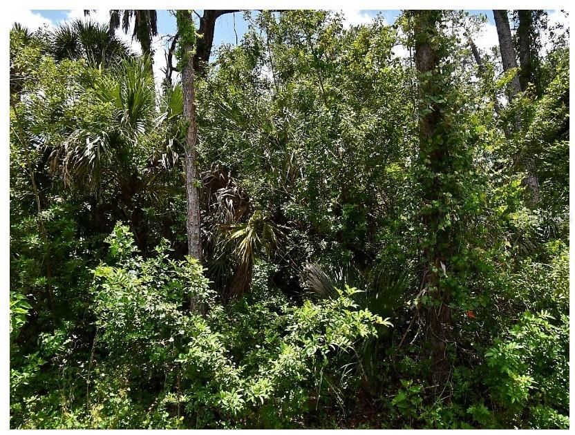 На продажу: $20,000 (0.24 acres)