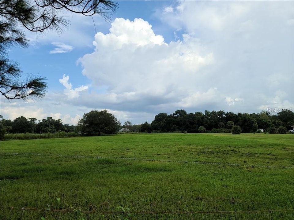 For Sale: $780,000 (5.00 acres)