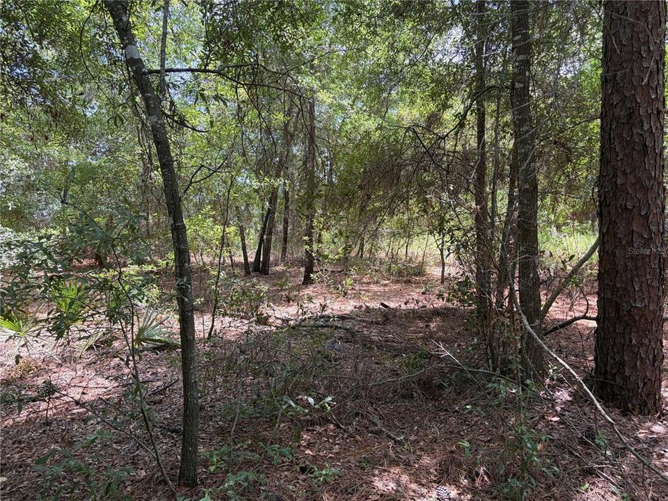 En Venta: $55,000 (0.59 acres)