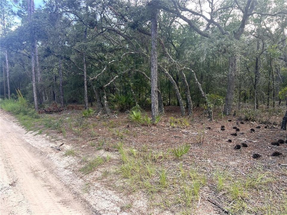 For Sale: $26,000 (1.25 acres)