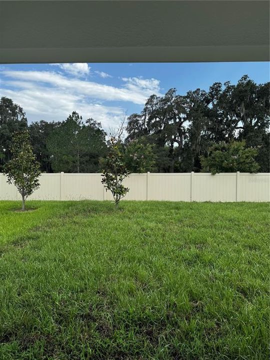 For Rent: $2,395 (3 beds, 2 baths, 1541 Square Feet)